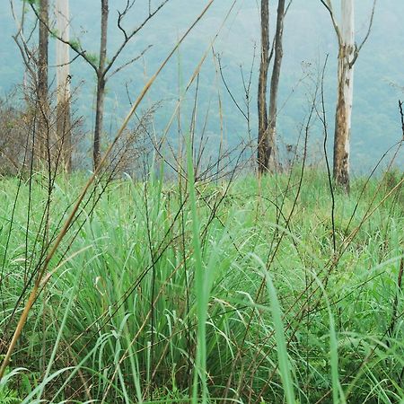 T Cherry Villa Munnar Exteriér fotografie