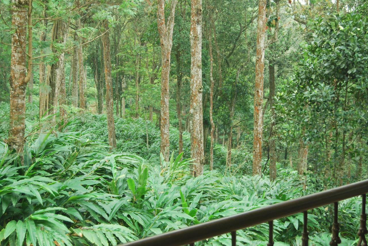 T Cherry Villa Munnar Exteriér fotografie