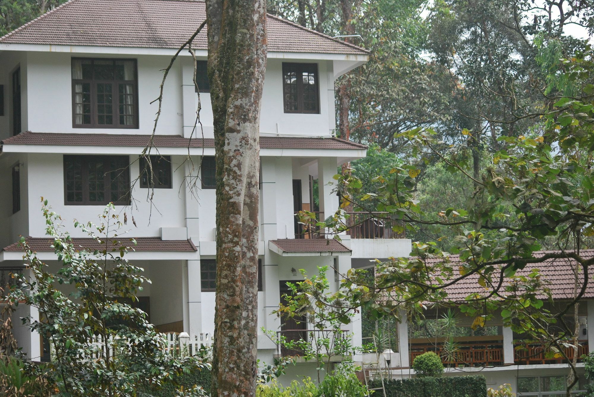 T Cherry Villa Munnar Exteriér fotografie