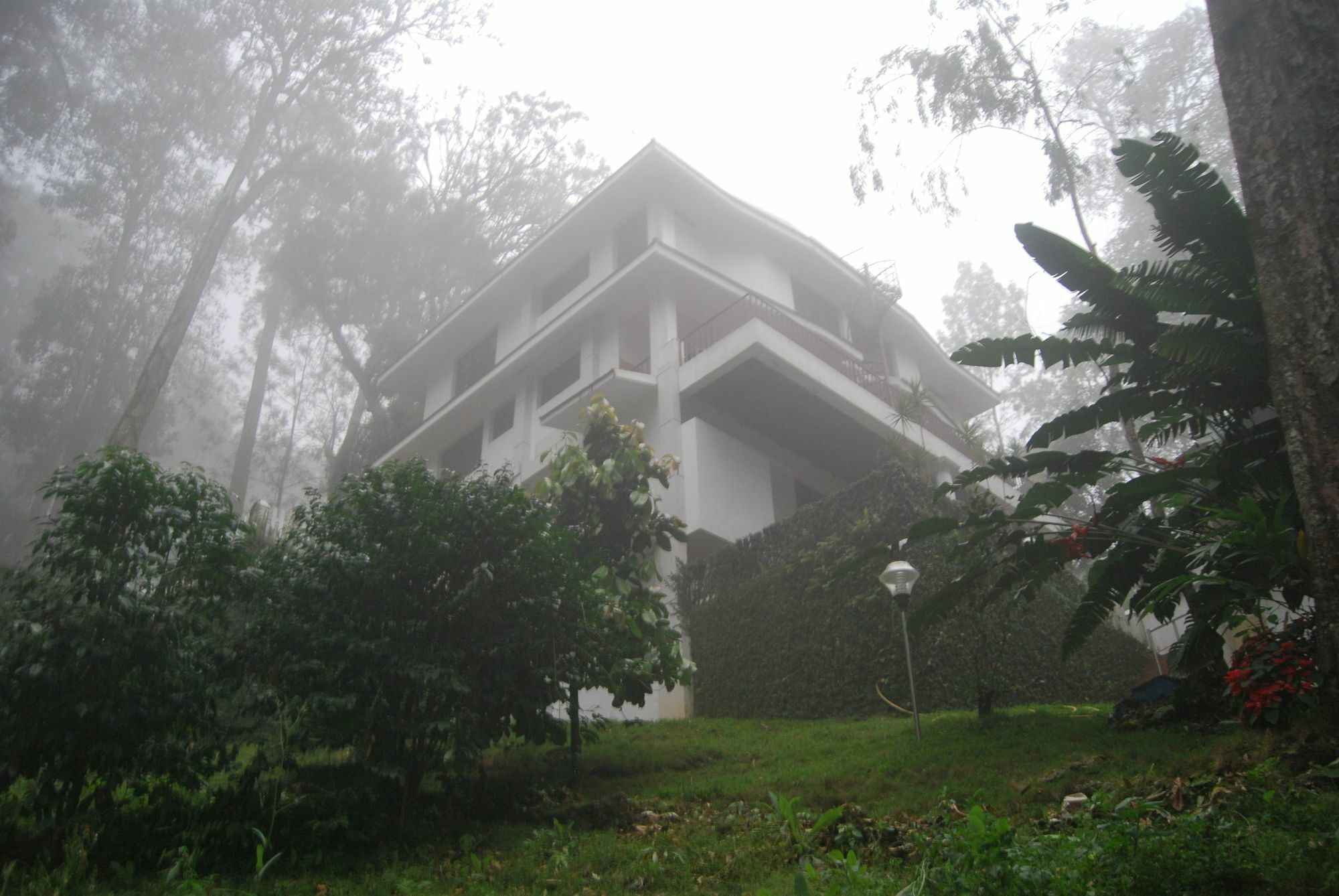 T Cherry Villa Munnar Exteriér fotografie